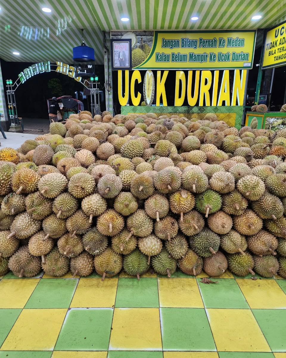 UCOK DURIAN