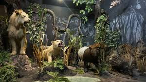 MUSEUM RAHMAT GALLERY